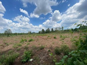 bán gấp đất vườn 6 mẫu tại xuân lộc, đồng nai. 4 tỷ