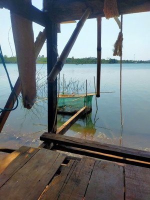 bán đất hơn 1500m2 sẵn thổ cư giáp hồ ea cuôr kăp huyện cưkuin- đắk lăk chỉ 138tr/m ngang