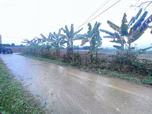 bán đất 1000m2 tại xã tú lý, giá thỏa thuận, mặt tiền 48m, hòa bình