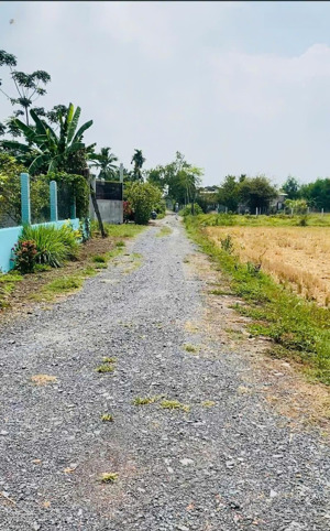 hàng ngợp cần ra gấp 2700m2 đất ở đô thị thị trấn đức hòa. giá chỉ 6,5tr/m2