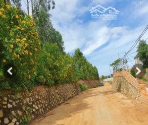 chính chủ bán đất đẹp tại nguyễn chí thanh, thạnh mỹ, đơn dương, lâm đồng, 580 triệu, 126 m2