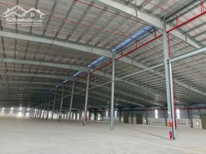 Bán xưởng 3ha trong KCN, Cần Đước, Long An
