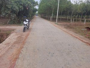 đất đẹp, giá đầu tư gần kcn bến củi, tây ninh
