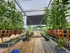 bán trang trại, khu nghỉ dưỡng tại ngọc giang, đông anh, hà nội, 6 tỷ, 3000 m2