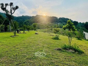 e có từ 1000 đất vườn giá rẻ tại đông xuân, quốc oai chỉ cách bigc 35km cho các bác yêu thích làm v
