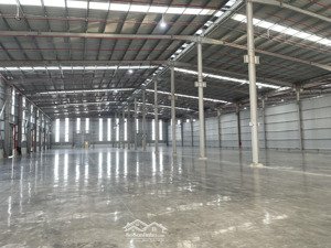 cho thuê kho xưởng mới xây tại kcn kiến thành, cần đước , long an, pccc tự động