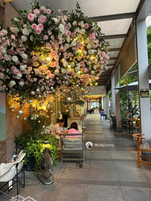 cho thuê shophouse sarina sala 90 triệu không gian đẳng cấp, kinh doanh hiệu quả!