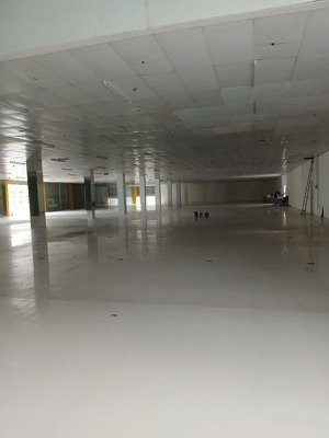 cho thuê nhà xưởng tại đà nẵng