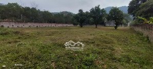 hàng hiếm tại đường 35, xã nam sơn, sóc sơn, hà nội, 13,5 tỷ, 2157 m2