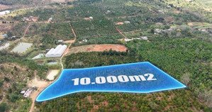 cơ hội sở hữu đất nông nghiệp, diện tích 1 ha, nguồn thu chủ lực: cà phê, tiêu