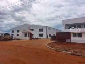 kho xưởng mới cho thuê 3.000m2 kcn phú tài có pccc giá rẻ