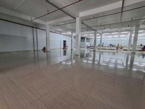 thuê kho bãi quận 7, dt 300m2 có tường xây kiên cố đẹp - chuẩn