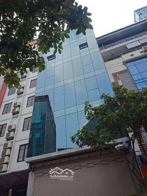 cho thuê tòa nhà huỳnh thúc kháng 80m2 x 7 tầng, full kính mới tinh, thông sàn, thang máy, 55tr/th,