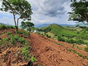 cần bán lô đất đẹp 1,3ha đất đường nhựa, mặt hồ trà co, phước tân, bắc ái, ninh thuận