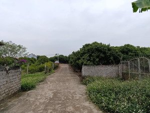 bán đất diện tích 1773m2 thổ cư 170m2