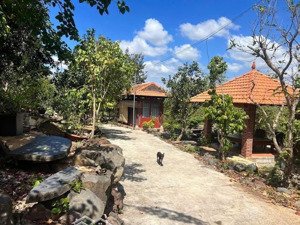 chính chủ cần bán khu nghỉ dưỡng 1.1 hecta (11.000m2) long phước tp bà rịa. sổ hồng thổ cư giá rẻ