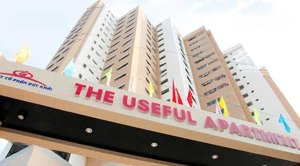 bán căn hộ chung cư the useful apartment, 60 m2, 2pn, 2wc tại lạc long quân, tân bình, tp. hcm