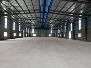 CHO THUÊ KHO XƯỞNG KHU VỰC VĂN GIANG - HƯNG YÊN