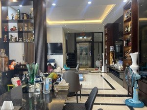 siêu phẩm ! bán nhà riêng 3 mặt tiền phố tôn thất thiệp- nguyễn tri phương dt 75m x 8tầng,mt 5,2m