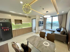 cho thuê căn hộ 2 phòng ngủ view sông ở ct2 vcn phước long