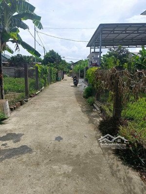 bán đất giáp tp đông hà, đường hoàng diệu nối dài.