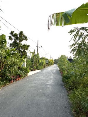 bán gấp đất nhà vườn vị trí đẹp xã long định, ql1a, tiền giang