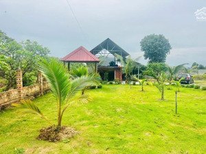 cần bán nhà vườn xã hoà hội xuyên mộc diện tích 1447m2 có sẵn nhà và vườn giá rẻ