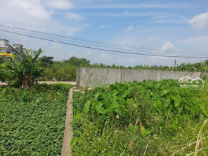 bán đất tại đông hà, đông hưng, thái bình, 5,3 tỷ, 200 m2