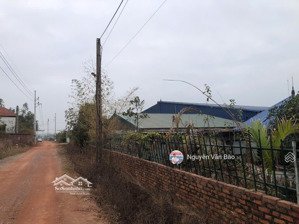 chuyển nhượng 10000m2 nhà xưởng tại sóc sơn, hà nội