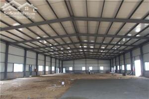 Cho thuê nhà xưởng mới xây dựng huyện Tân Phước, tỉnh Tiền Giang.
