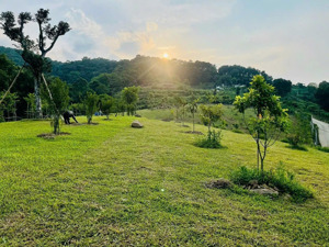 e có từ 1000 đất vườn giá rẻ tại đông xuân, quốc oai chỉ cách bigc 35km cho các bác yêu thích làm v