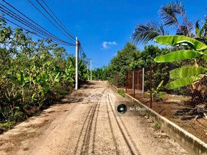 chốt ngay nền đất vườn 1000m sẵn nhà nhỏ & cây ăn trái long khánh chỉ 869 triệu