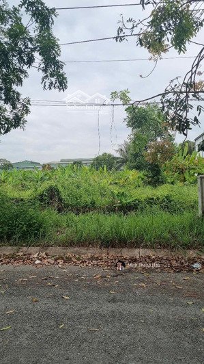 ngộp cần bán đất kdc đường 10, đối diện thcs bến lức, tt bến lức, la, diện tích 130m2/ 725tr.