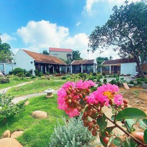 chuyển nhượng khuôn viên nhà vườn 760m2 tại chương mỹ - hà nội