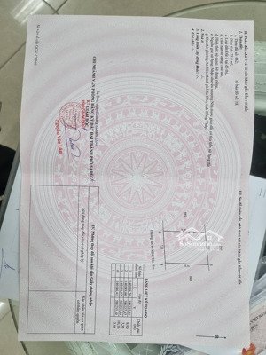 nhà mới xây dụng 1 trệt 1 lầu 3pn đường ô tô 2 chiều, an hòa bình, sa đức, đồng tháp