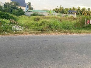 cần bán gấp, 620triệu/115m2, đường nguyễn huệ, thanh bình, đồng tháp, sát chợ nông sản, shr