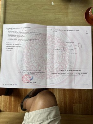 bán đất trục thôn minh tân đón ga đường sắt cao tốc