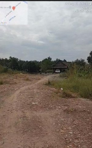 cho thuê đất mặt tiền mỹ phước tân vạn dĩ an bình dương - hợp đồng 15 năm