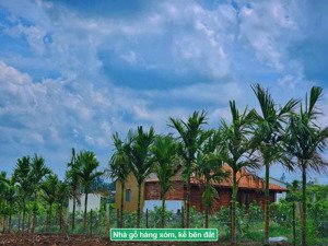 đất quy hoạch thổ 940m2 chỉ 129tr