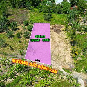 bán 346m2 (60m2 thổ cư) / đất diên tân - diên khánh
