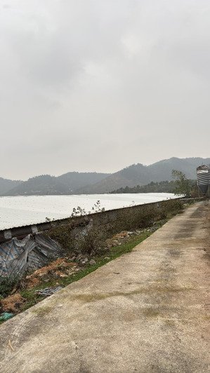 bán trang trại, khu nghỉ dưỡng tại xã ngọc thanh, phúc yên, vĩnh phúc, 4ha sổ đỏ