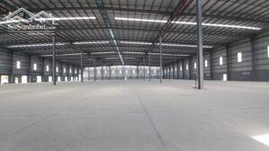 Cho Thuê Kho Xưởng Xã Cần Đước, Long An, Diện Tích Đất: 5.000M2, Nhà Xưởng: 2.500M2, Trạm 1.250Kva