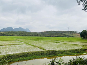 cần bán 3871m2 tại liên sơn - lương sơn - hoà bình