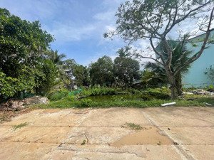 cho thuê đất trống 800m2 tiện kinh doanh mô hình sân vườn, kho bãi.. gần kdt stella mega