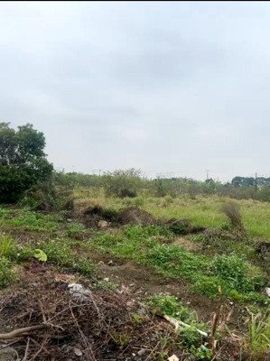 bán 2 lô đất cực hiếm dt 95m2. đất đấu giá thuỵ phú - nam tiến- phú xuyên hà nội