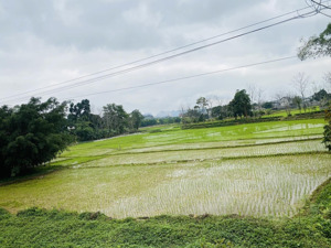 cần bán 4209m2 cao dương - lương sơn - hoà bình