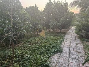 bán gấp nhà vườn 2257m2 có 300m2 tc giá 30 tỷ hướng đb đường xe hơi qh đất gđ bank cho vay 70%
