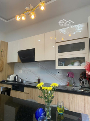 cho thuê nhà nguyên căn đường nguyễn thị định, an hải bắc, sơn trà, đà nẵng
