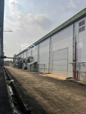 cho thuê kho xưởng kcn gần cảng biển lớn cần đước, long an, khuôn viên: 50.000m2, x: 19.200m2