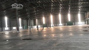 cho thuê nhà xưởng mới xây gần cảng biển lớn cần đước, long an, pccc tự động